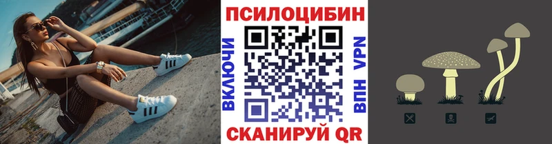блэк спрут tor  Волгодонск  Галлюциногенные грибы ЛСД 