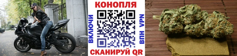 Шишки марихуана тримм  OMG вход  Волгодонск  где купить наркоту 